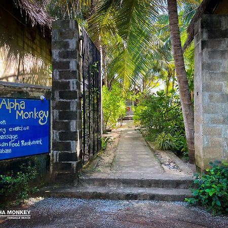 The Alpha Monkey Hotel & Tree House Tangalle Exterior photo