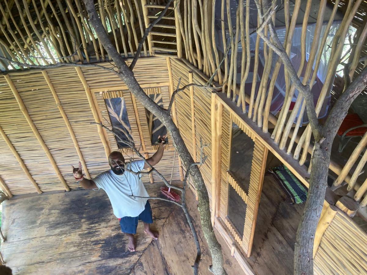 The Alpha Monkey Hotel & Tree House Tangalle Exterior photo