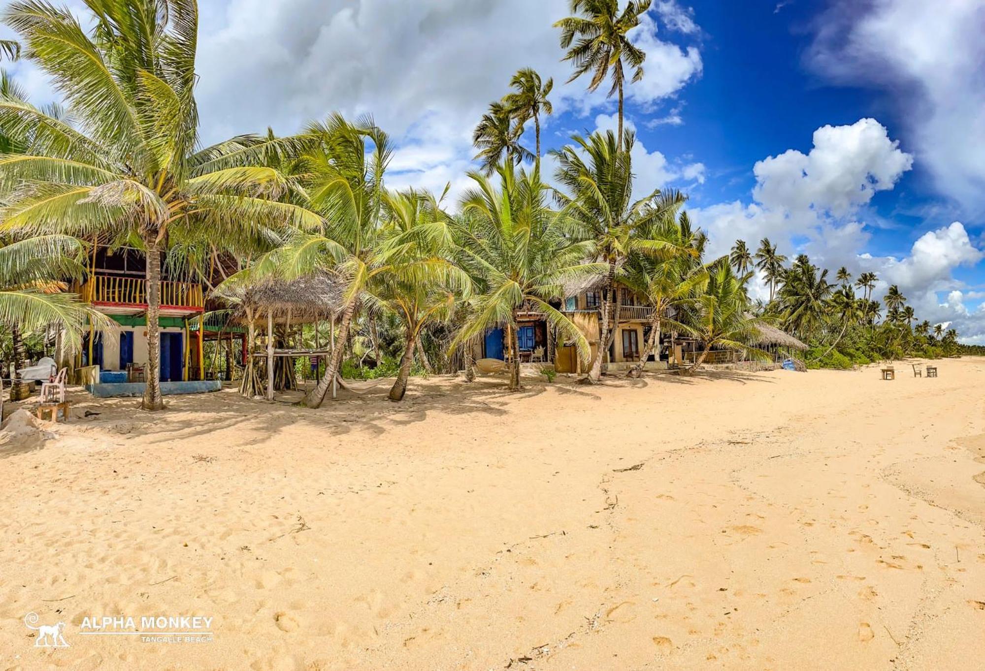 The Alpha Monkey Hotel & Tree House Tangalle Exterior photo