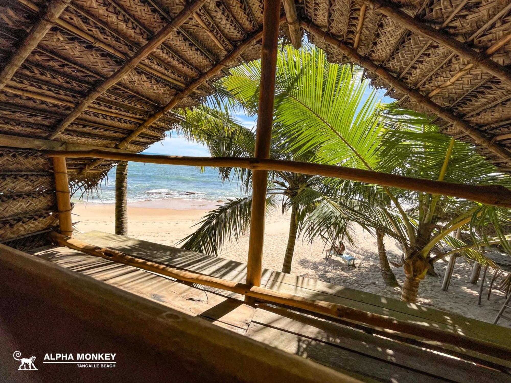 The Alpha Monkey Hotel & Tree House Tangalle Exterior photo