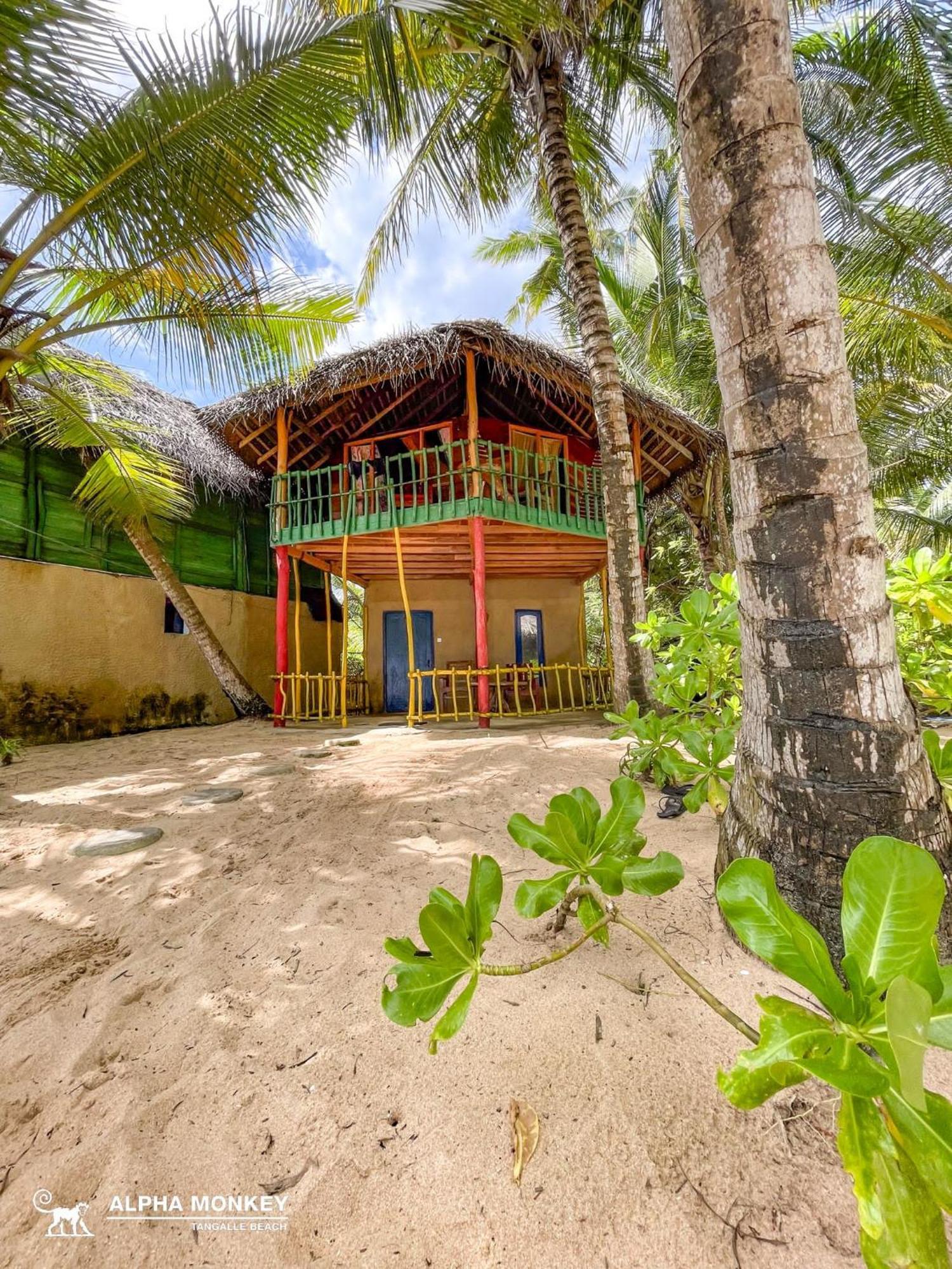The Alpha Monkey Hotel & Tree House Tangalle Room photo
