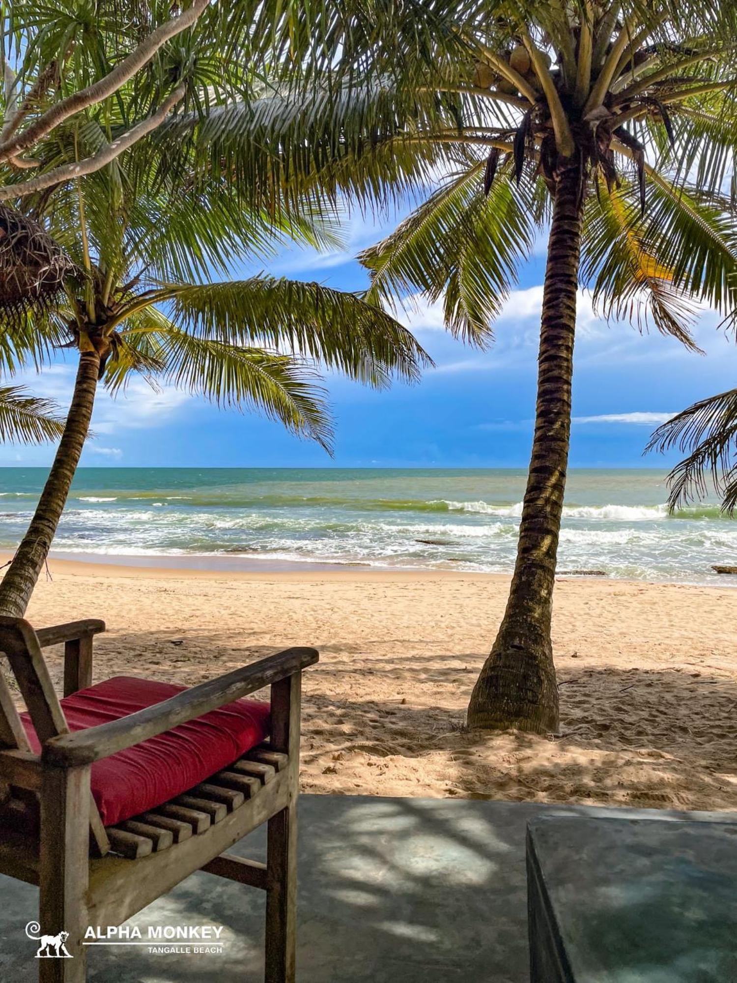The Alpha Monkey Hotel & Tree House Tangalle Room photo